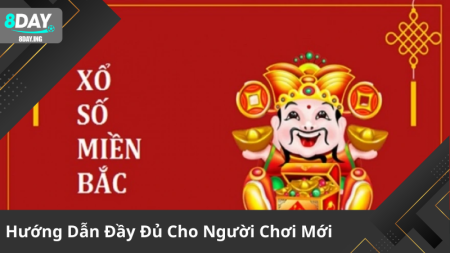 Cách Chơi Xổ Số Miền Bắc Dành Cho Người Mới
